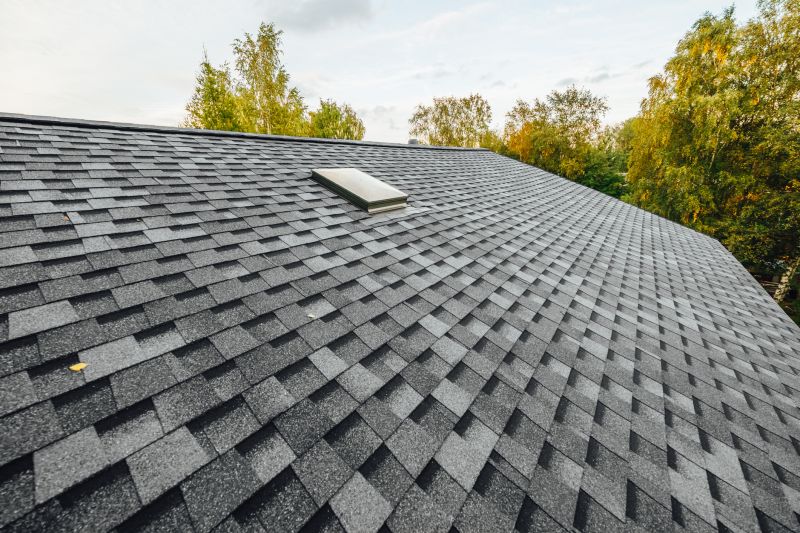 Summer Roofing Maintenance
